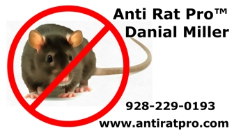 Anti Rat Pro Business Card